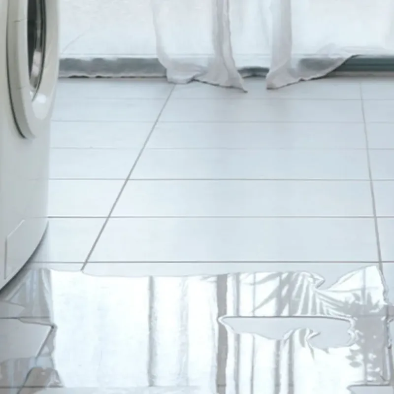 Appliance Leak Cleanup in Napoleon, ND