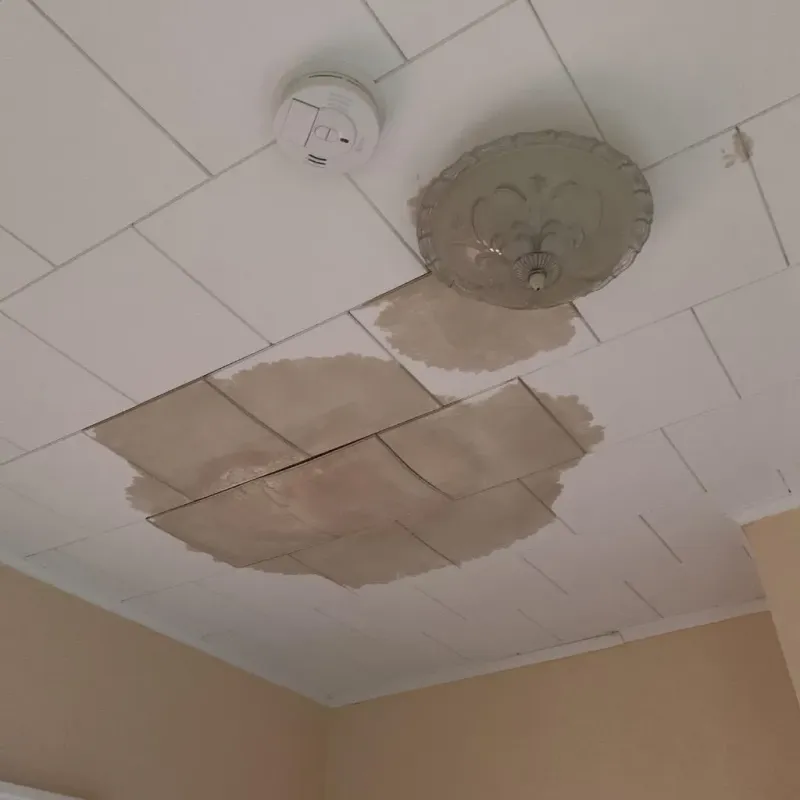Ceiling Water Damage Repair in Napoleon, ND