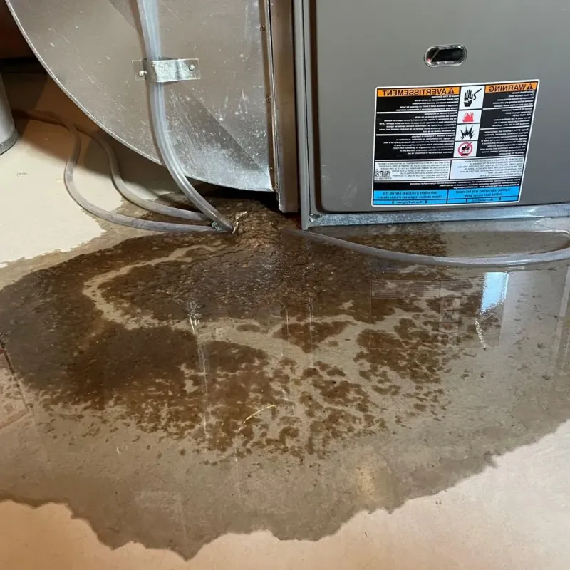 Pipe Burst and Leak Restoration in Napoleon, ND
