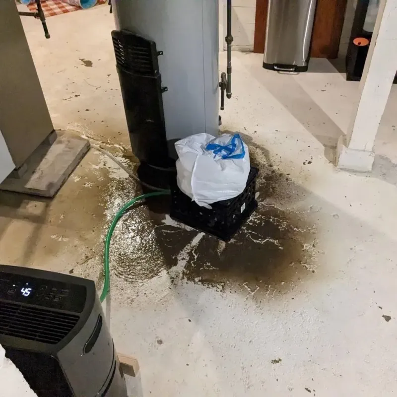 Sewage Backup Cleanup Service in Napoleon, ND